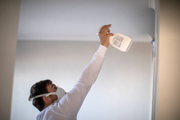 Best Professional Mold Removal  in Gordonsville, TN