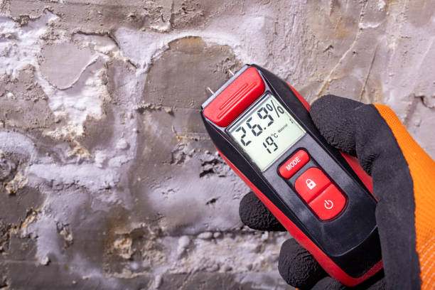 Professional Mold Removal in Gordonsville, TN