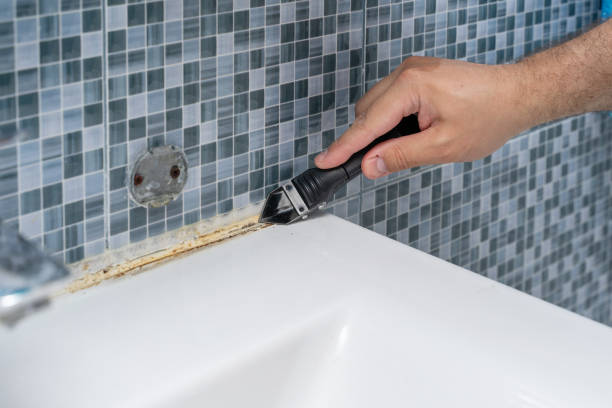Best Home Mold Removal  in Gordonsville, TN